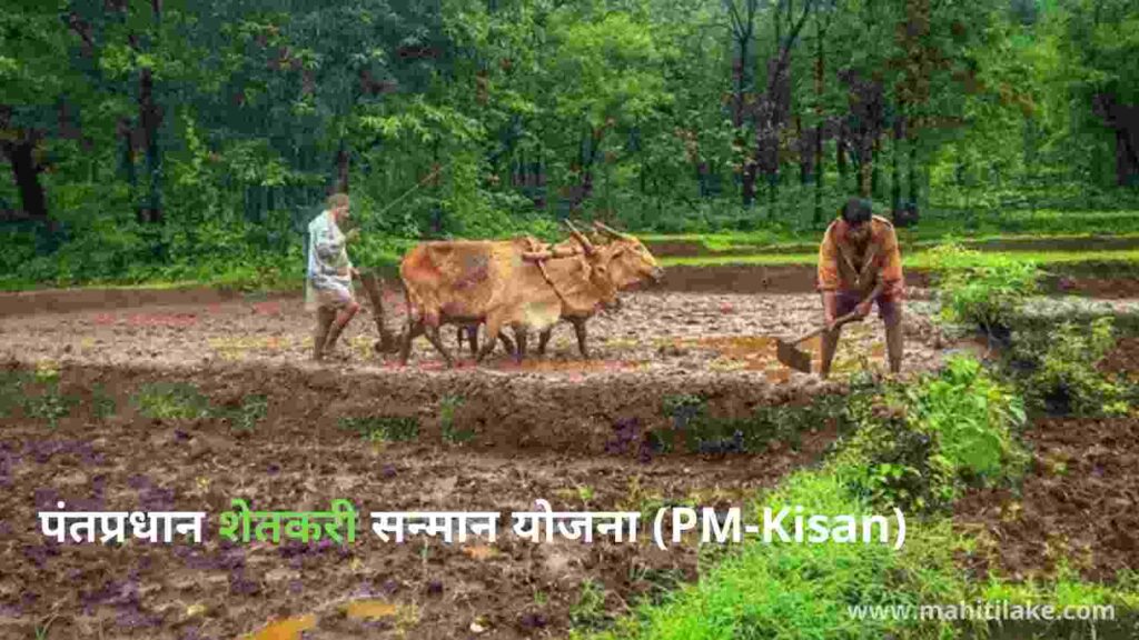 पंतप्रधान-शेतकरी-सन्मान-योजना-PM-Kisan