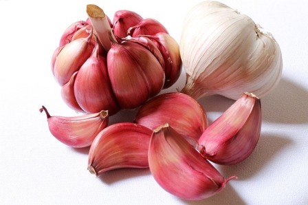 Benefits of garlic in marathi