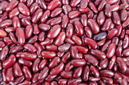 kidney-beans-in-marathi