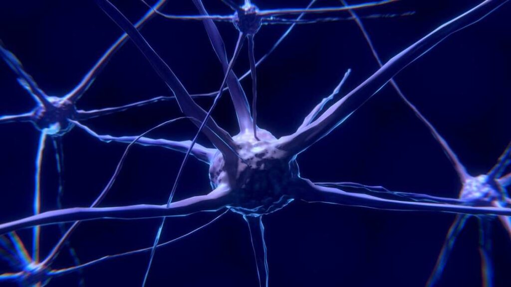 nerve-cell-1