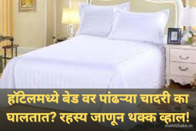 White Bed Sheets for Hotels