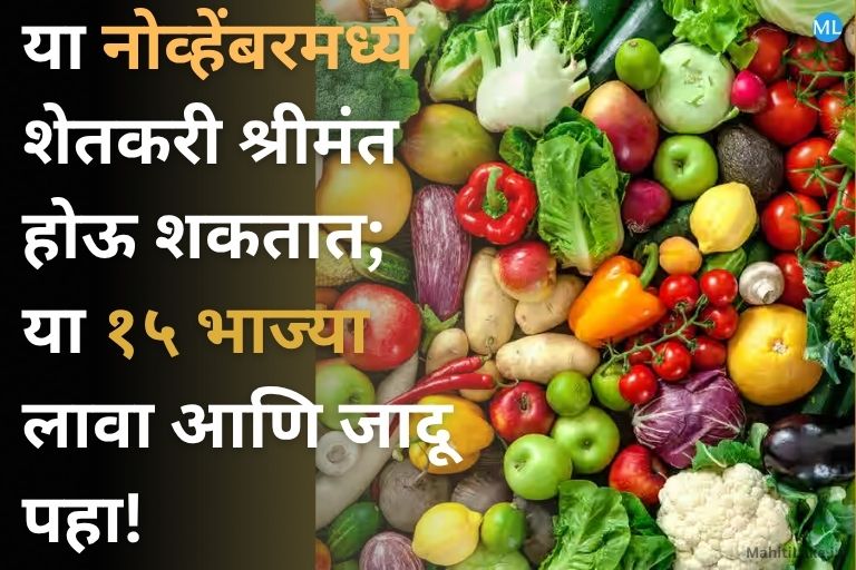 november-farming-vegetables-for-profit