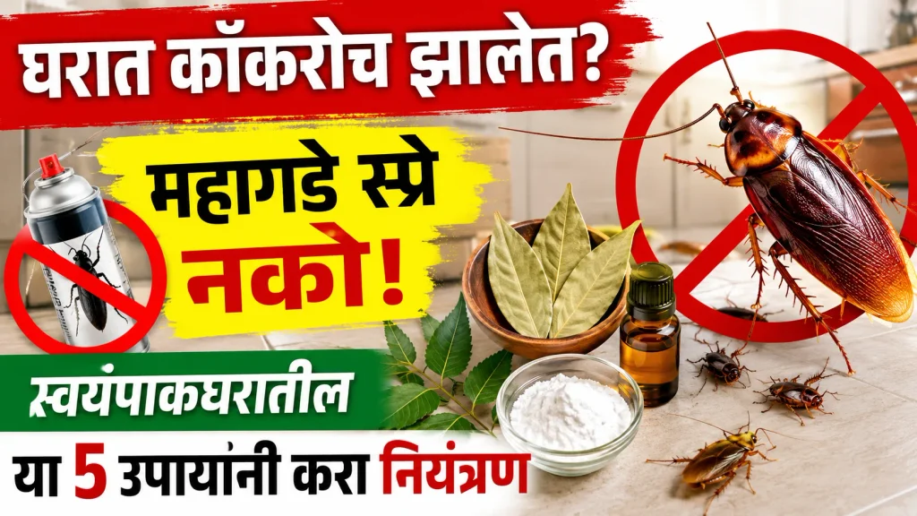 cockroach-ghalavnyache-gharguti-upay